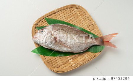 天然の真鯛(生) 97452294