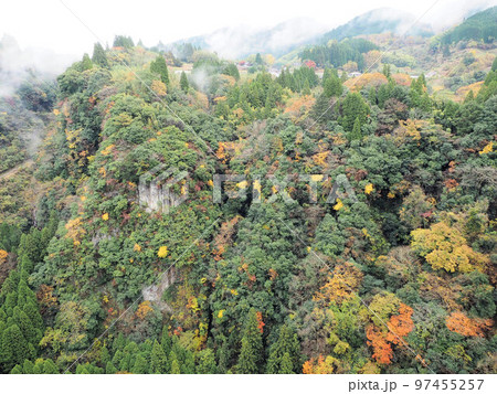 鮎の瀬大橋から見た秋の風景 鮎の瀬大橋から見た秋の風景 97455257