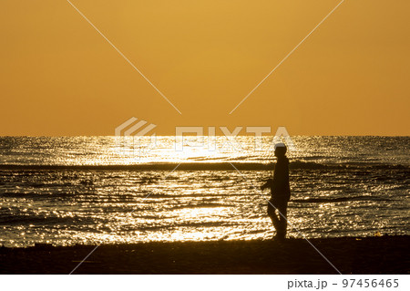 夕暮れ時のカメラ散歩 97456465