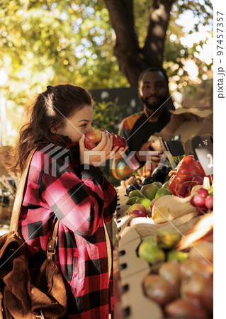 Female buyer choosing small business fresh products, smelling colorful organic apples in boxes. Woman preparing to buy fruits and vegetables at natural bio food market, various produce. Female buyer choosing small business fresh products, smelling colorful organic apples in boxes. Woman preparing to buy fruits and vegetables at natural bio food market, various produce. 97457357