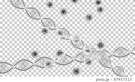 Viruses and DNA rings 97457513