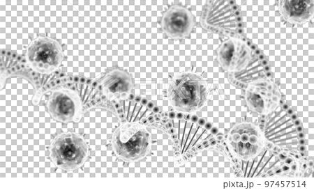 Viruses and DNA rings 97457514