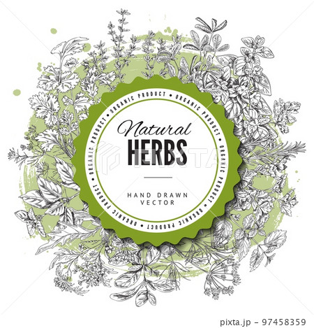 Round decorative frame with hand drawn herbs sketch style Round decorative frame with hand drawn herbs sketch style 97458359