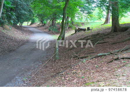 【日本100名城】彦根城　観音台脇の土塁　滋賀県彦根市 97458678