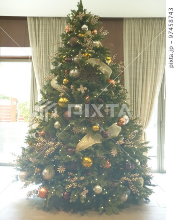 クリスマスツリー 97458743