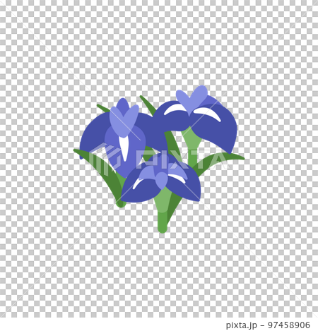 Kakitsubata simple Kakitsubata simple 97458906