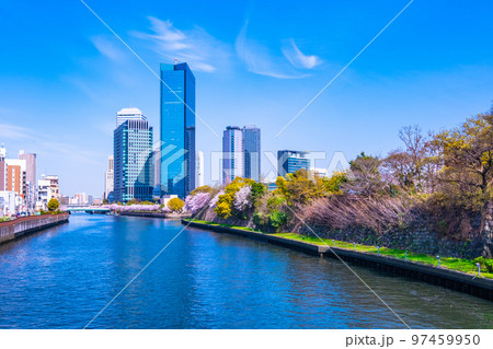 大阪ビジネスパークと桜 大阪ビジネスパークと桜 97459950