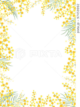 ミモザのベクターイラストフレーム背景 97459992