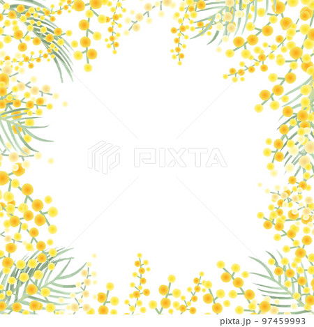 ミモザのベクターイラストフレーム背景 97459993