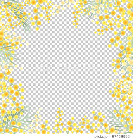 ミモザのベクターイラストフレーム背景 97459993