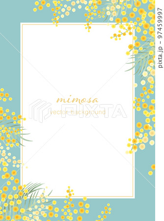 ミモザのベクターイラストフレーム背景 97459997