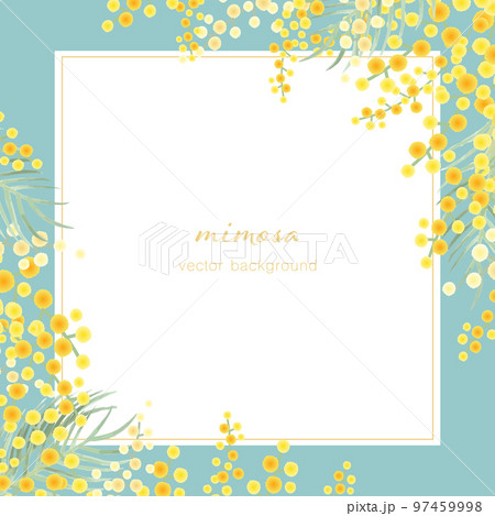 ミモザのベクターイラストフレーム背景 97459998