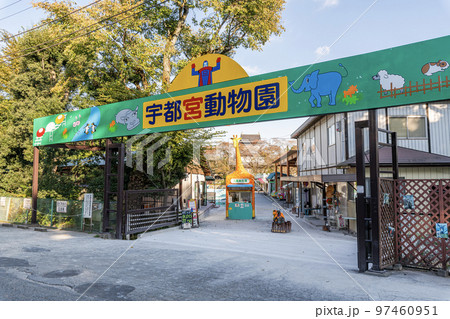 栃木県宇都宮市　快晴の宇都宮動物園 97460951