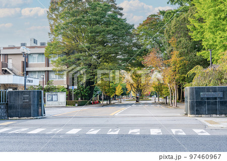 栃木県宇都宮市　晴天の国立学校法人　宇都宮大学 97460967