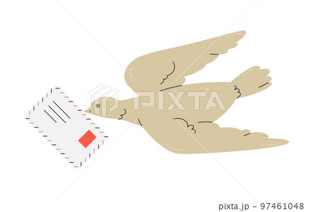 Carrier Pigeon With Envelope 97461048
