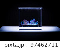 骨の持ち合わせ 97462711