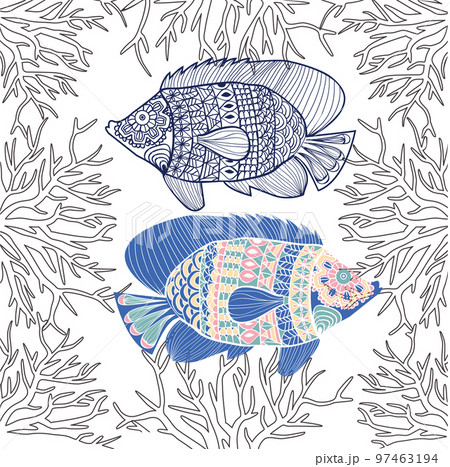 Vector of Fishes and corals on white background 97463194