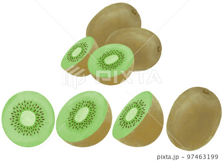 水彩で表現したキウイフルーツのイラストセット 水彩で表現したキウイフルーツのイラストセット 97463199