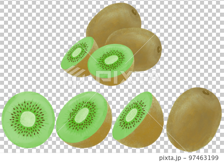水彩で表現したキウイフルーツのイラストセット 水彩で表現したキウイフルーツのイラストセット 97463199