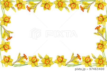 Watercolor hand drawn square frame with spring flowers, daffodils, snowdrops, branches, leaves. Isolated on white background. Design for invitations, wedding, greeting cards, wallpaper, print, textile 97463400