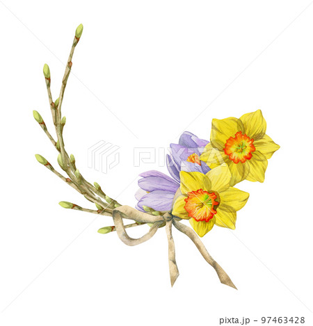 Watercolor hand drawn circle wreath with spring flowers, daffodils, crocus, snowdrops, branches Isolated on white background Design for invitations, wedding, greeting cards, wallpaper, print, textile. 97463428