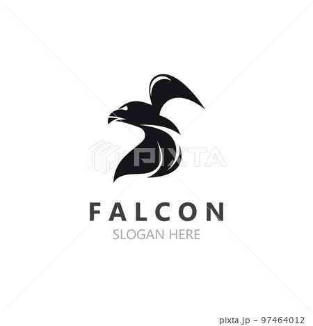 Falcon logo design image, silhouette eagle template illustration Falcon logo design image, silhouette eagle template illustration 97464012