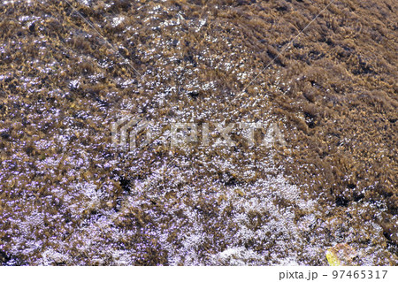 水の流れと太陽光の反射　12月 97465317