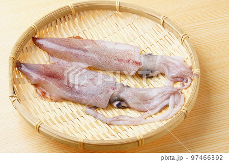 スルメ烏賊 食材 スルメ烏賊 食材 97466392