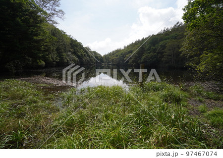 群馬県中之条町六合地区 チャツボミゴケ公園からのハイキングコースにある平兵衛池 2022年9月12日 群馬県中之条町六合地区 チャツボミゴケ公園からのハイキングコースにある平兵衛池 2022年9月12日 97467074