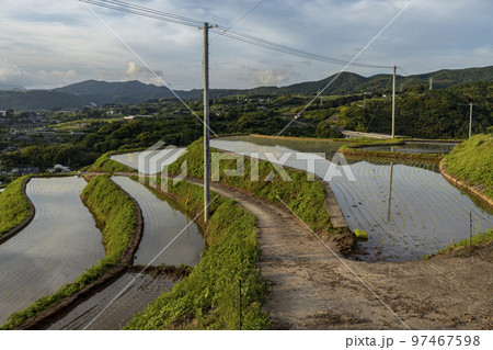 水田の江ノ串の棚田【長崎県東彼杵郡】 水田の江ノ串の棚田【長崎県東彼杵郡】 97467598