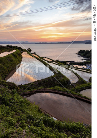 夕焼けに染まる水田の江ノ串の棚田【長崎県東彼杵郡】 97467607