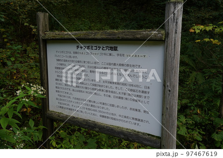 群馬県中之条町六合地区 チャツボミゴケ公園内の説明板 2022年9月12日 群馬県中之条町六合地区 チャツボミゴケ公園内の説明板 2022年9月12日 97467619