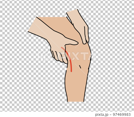 Popliteal artery tactile Popliteal artery tactile 97469983