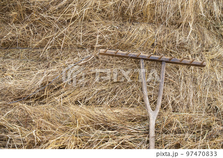 A vintage rake lies on the straw. Rustic background with straw. A vintage rake lies on the straw. Rustic background with straw. 97470833
