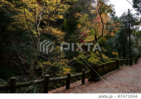 滝道の紅葉 滝道の紅葉 97471044