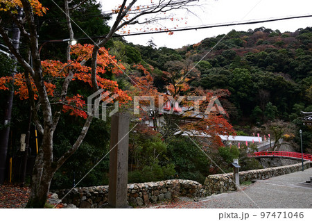 滝道の紅葉 滝道の紅葉 97471046