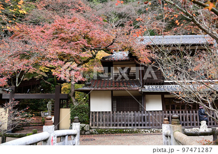 滝道の紅葉 滝道の紅葉 97471287