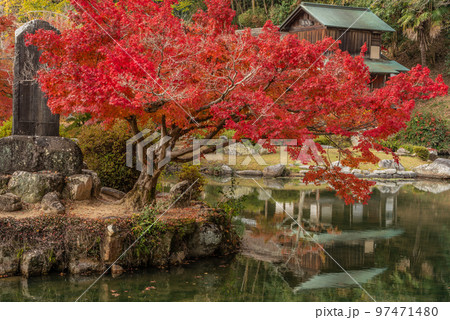 岡山の後楽園・津山の衆楽園と並ぶ岡山県指定名勝の近水園 97471480