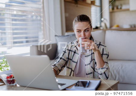 Young woman having homeoffice in her apartment. Young woman having homeoffice in her apartment. 97471556
