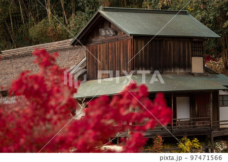 岡山の後楽園・津山の衆楽園と並ぶ岡山県指定名勝の近水園 97471566