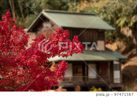 岡山の後楽園・津山の衆楽園と並ぶ岡山県指定名勝の近水園 97471567