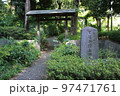 下落合野鳥の森公園 97471761