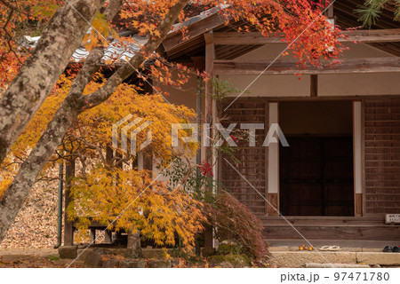 岡山の後楽園・津山の衆楽園と並ぶ岡山県指定名勝の近水園 97471780