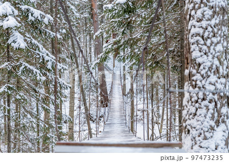 Beautiful rope hanging wooden bridge. winter landscape Beautiful rope hanging wooden bridge. winter landscape 97473235