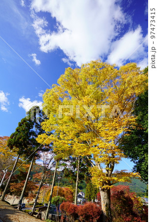 京都和束・和束荘の紅葉 97473415