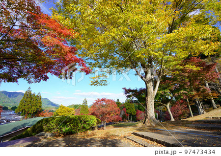 京都和束・和束荘の紅葉 97473434