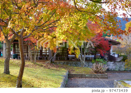 京都和束・運動公園の紅葉 97473439