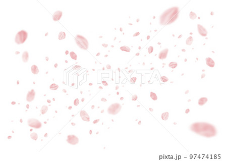 切り抜きで使える、リアルな桜の花いっぱい 切り抜きで使える、リアルな桜の花いっぱい 97474185