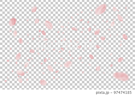 A lot of realistic cherry blossoms that can be used as cutouts 97474185