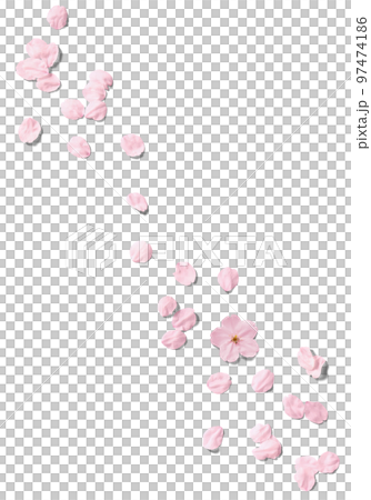 切り抜きで使える、リアルな桜の花いっぱい 97474186